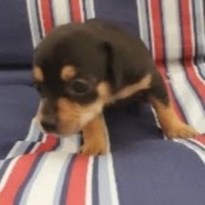 Meet your Posher, Caroline